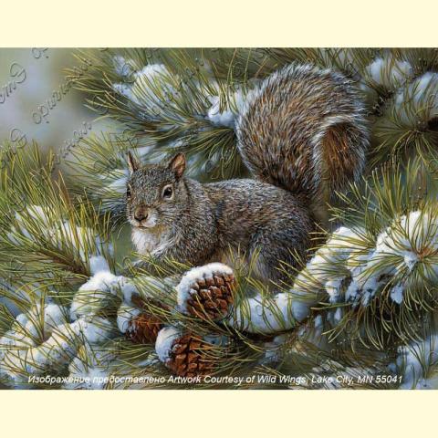 Оригинал схемы - отредактированная репродукция картины