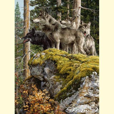 Скрин - компьютерное изображение схемы вышивки