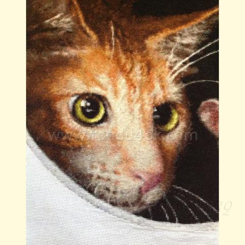 Вышивка  - ткань: Аида 20 ct, техника: крестик в 2 нитки<br>Автор вышивки: Любовь Пшеничникова (pshenichka63)