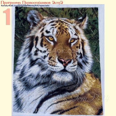 Вышивка  - ткань: Конгресс Страмин 24 ct, техника: петит/полукрест <br>Автор вышивки: Резеда Сабитова<br>Программа Первоотшивов 2022