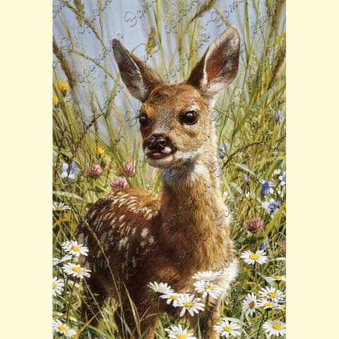 Оригинал схемы - отредактированная репродукция картины