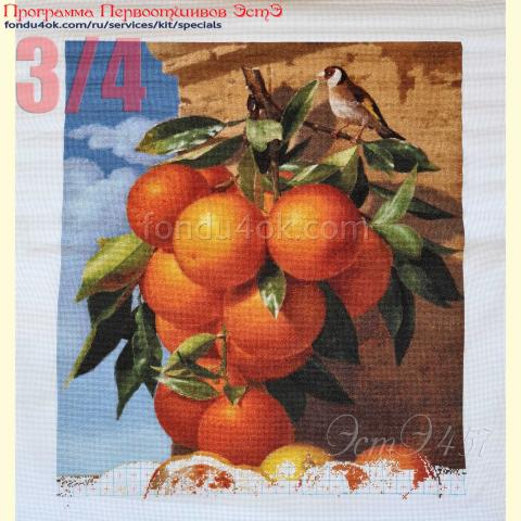 Вышивка  - ткань: Аида 20 ct, техника: крестик в 2 нитки<br>Автор вышивки: Елена Медникова (Medalka)<br>Программа Первоотшивов 2023, приз 3/4 работы