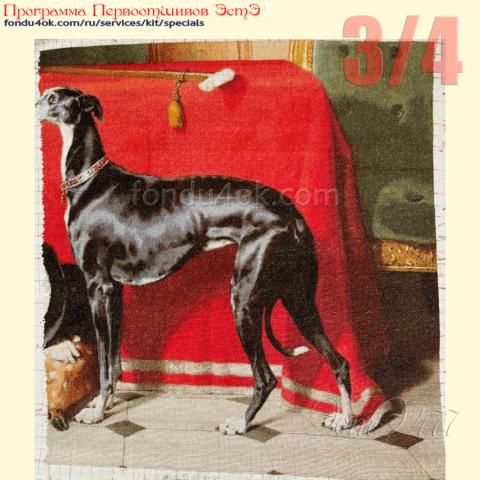 Вышивка  - ткань: равомерка DMC 25 ct, техника: петит-полукрест <br>Автор вышивки: Юлия Удодова (englove)<br>Программа Первоотшивов 2025, приз 3/4 работы