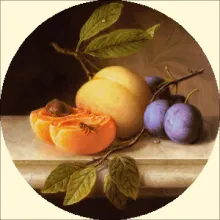 Скрин - компьютерное изображение схемы вышивки