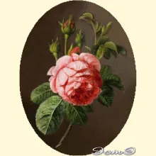 Скрин - компьютерное изображение схемы вышивки