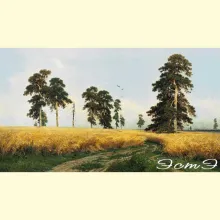 Скрин - компьютерное изображение схемы вышивки