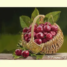 Скрин - компьютерное изображение схемы вышивки